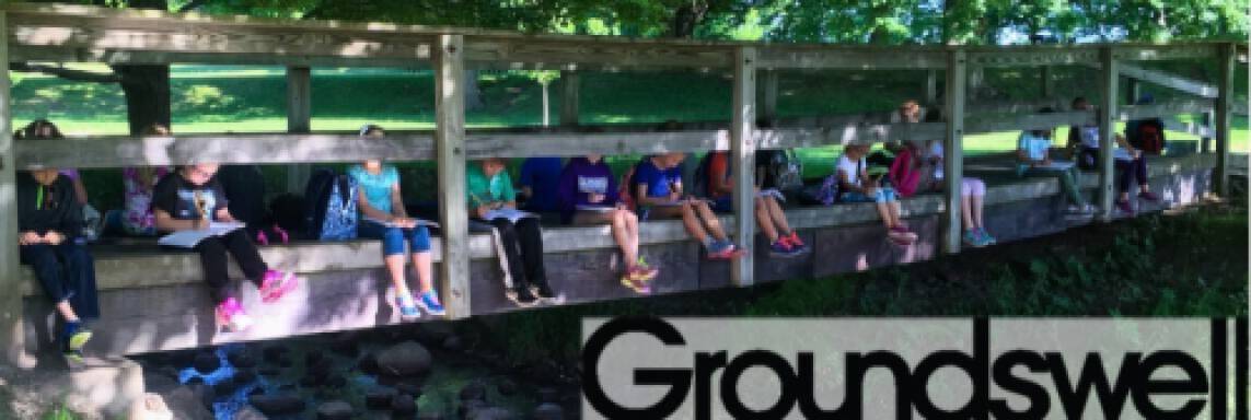 Groundswell